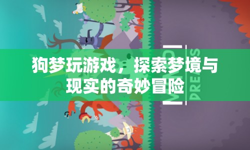 狗夢玩游戲，探索夢境與現(xiàn)實的奇妙冒險之旅  第1張