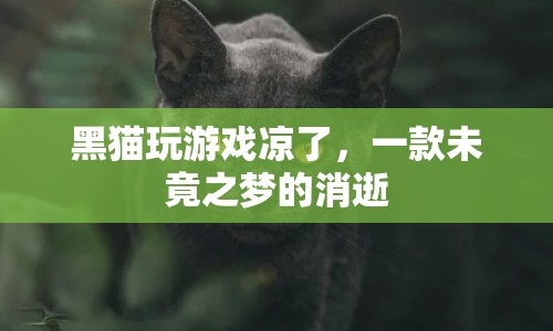 未竟之夢(mèng)，黑貓游戲涼涼，玩家遺憾告別