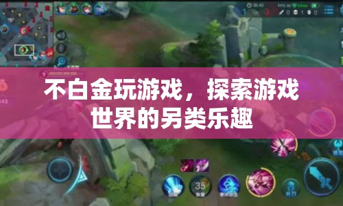 探索游戲世界的另類樂(lè)趣，不白金也能樂(lè)在其中
