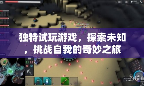 探索未知，挑戰(zhàn)自我的奇妙游戲之旅  第1張