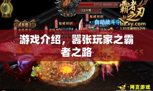 囂張玩家之霸者之路，游戲介紹