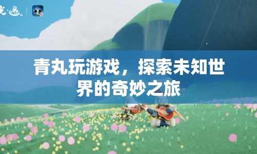 青丸探索未知世界的奇妙之旅