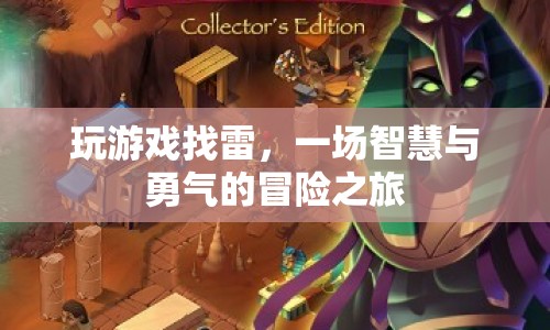 雷區(qū)冒險，智慧與勇氣的游戲之旅