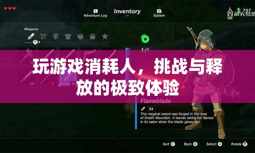 游戲，挑戰(zhàn)與釋放的極致體驗(yàn)
