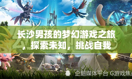 長沙男孩的夢幻游戲之旅，探索未知，挑戰(zhàn)自我