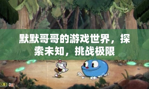 默默哥哥的游戲世界，探索未知，挑戰(zhàn)極限
