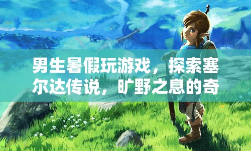 男生暑假探索塞爾達(dá)傳說(shuō)，曠野之息的奇幻世界