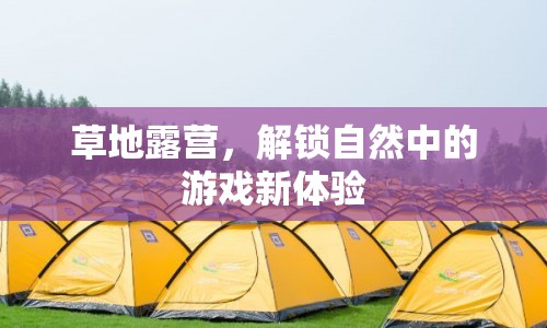 草地露營解鎖自然中的游戲新體驗
