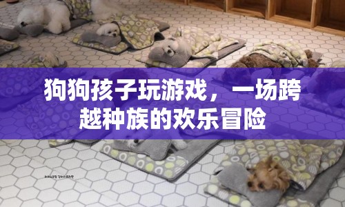 狗狗與孩子，跨越種族的歡樂冒險
