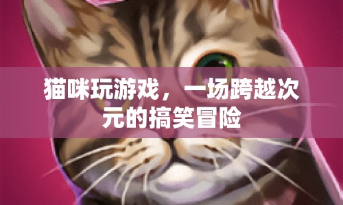 貓咪的搞笑次元冒險之旅
