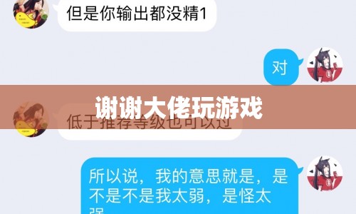大佬游戲之旅，探索未知，挑戰(zhàn)極限