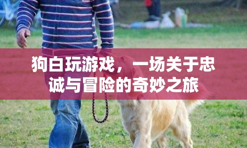 狗白，一場(chǎng)關(guān)于忠誠與冒險(xiǎn)的奇妙之旅