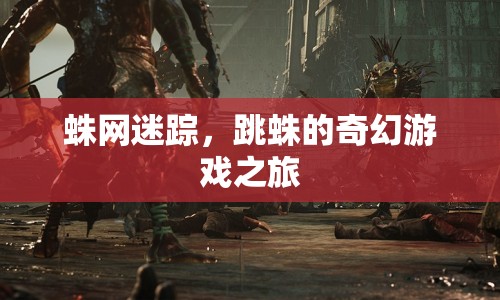 跳蛛的奇幻游戲之旅，蛛網(wǎng)迷蹤