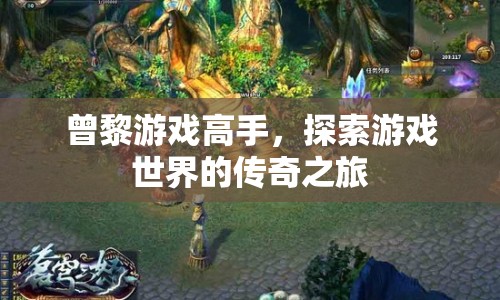 曾黎，游戲高手的傳奇之旅  第1張