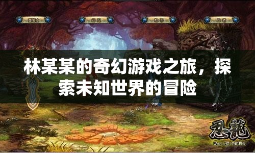 林某某的奇幻冒險(xiǎn)，探索未知世界的游戲之旅