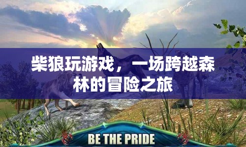 柴狼森林冒險(xiǎn)之旅，跨越森林的冒險(xiǎn)游戲