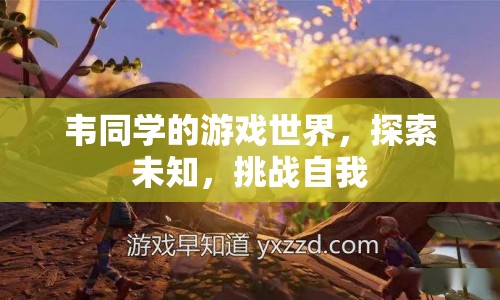 韋同學(xué)的游戲世界，探索未知，挑戰(zhàn)自我