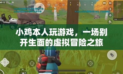 小雞本人，一場別開生面的虛擬冒險之旅