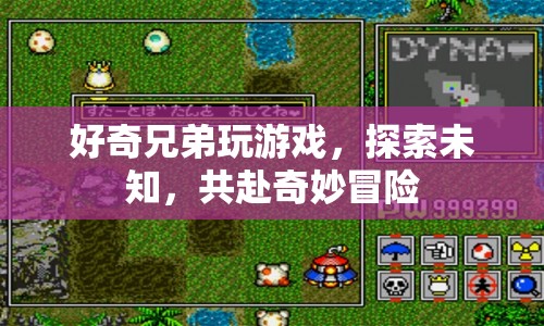 好奇兄弟，共赴奇妙冒險(xiǎn)的奇妙之旅
