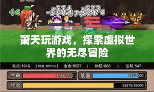 蕭天，虛擬世界的無盡冒險(xiǎn)