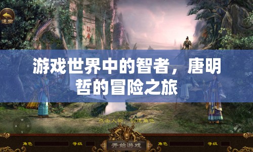 唐明哲的冒險(xiǎn)之旅，游戲世界中的智者