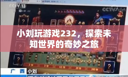 小劉探索游戲世界，奇妙之旅的232個(gè)精彩瞬間