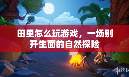 田里怎么玩游戲，一場(chǎng)自然探險(xiǎn)的創(chuàng)意玩法