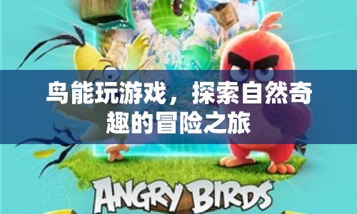 鳥類的自然奇趣冒險，探索與游戲之旅  第1張