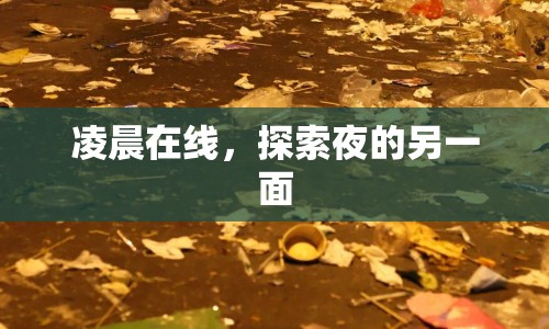 凌晨在線，探索夜的另一面  第1張