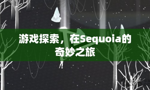 Sequoia的奇妙之旅，探索游戲世界的奧秘