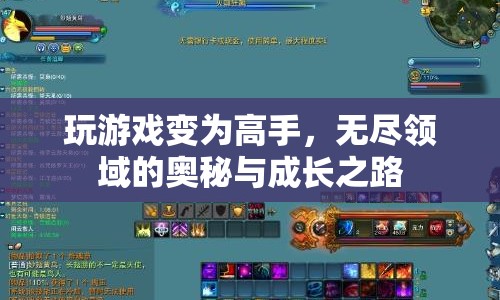 無盡領(lǐng)域的奧秘，從新手到高手的游戲成長之路  第1張