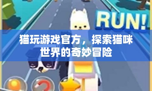 貓玩游戲官方，探索貓咪世界的奇妙冒險(xiǎn)