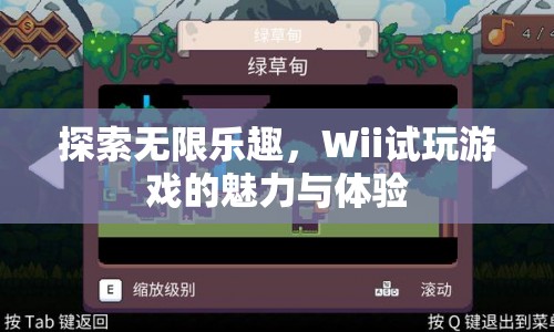 Wii試玩游戲，探索無限樂趣的魅力與體驗(yàn)