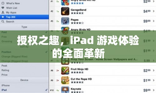 iPad游戲新體驗(yàn)，授權(quán)之趣的全面革新