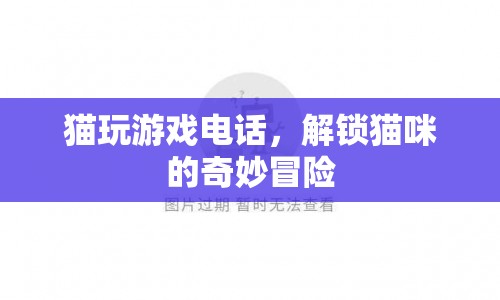 貓玩游戲電話，解鎖貓咪的奇妙冒險之旅