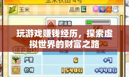探索虛擬世界的財(cái)富之路，我的游戲賺錢經(jīng)歷