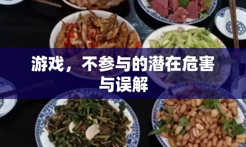游戲不參與的潛在危害與誤解解析  第1張