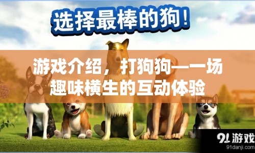 打狗狗，趣味互動體驗等你來戰(zhàn)