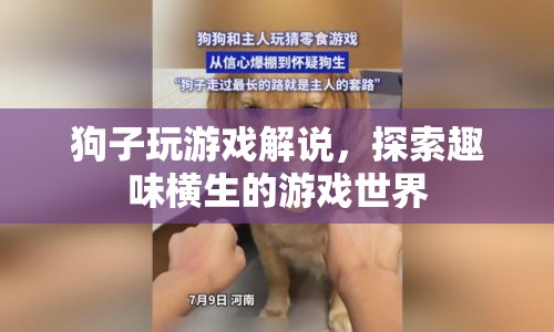 狗子游戲解說，探索趣味橫生的游戲世界