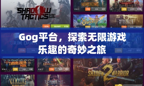 Gog平臺(tái)，開(kāi)啟無(wú)限游戲樂(lè)趣的奇妙之旅
