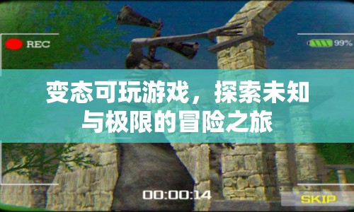 探索未知與極限，變態(tài)可玩游戲的冒險之旅