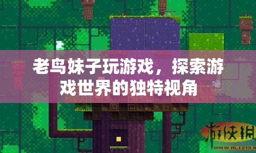 老鳥妹子視角，探索游戲世界的獨(dú)特體驗(yàn)