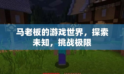 馬老板的游戲世界，探索未知，挑戰(zhàn)極限