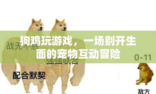 狗雞玩游戲，寵物互動冒險新體驗