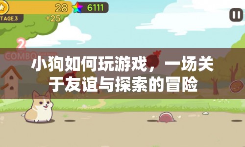 小狗的友誼與探索冒險(xiǎn)，一場歡樂的游戲之旅
