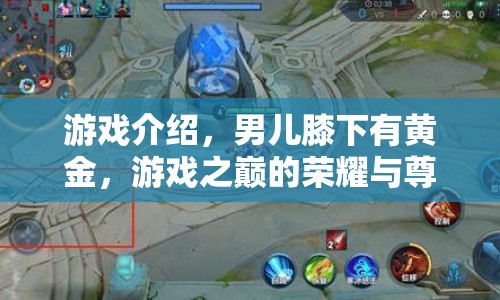 男兒膝下有黃金，游戲之巔的榮耀與尊嚴(yán)  第1張