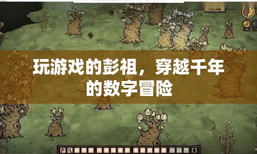 彭祖穿越千年，數(shù)字冒險游戲開啟！