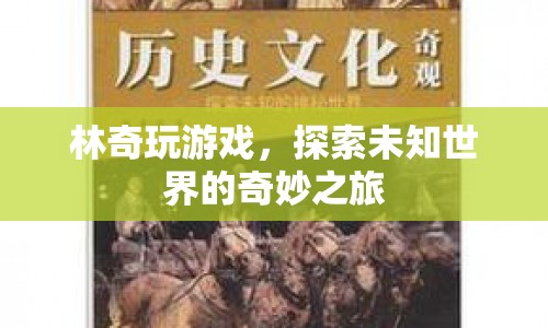 林奇探索未知世界的奇妙游戲之旅  第1張