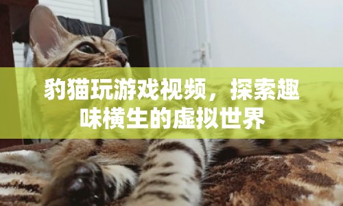 豹貓?zhí)剿魈摂M世界，趣味橫生的游戲視頻