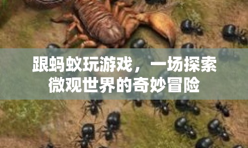 探索微觀世界，與螞蟻共舞，一場奇妙冒險(xiǎn)